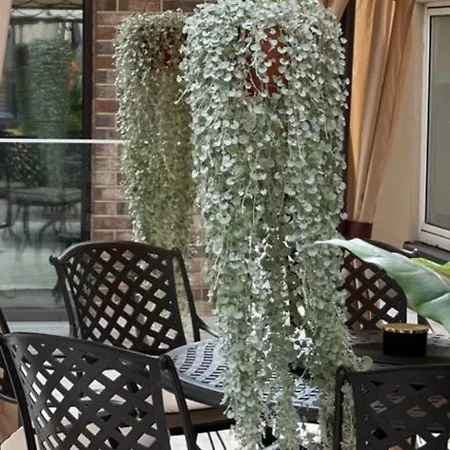 White Old Town Apartament