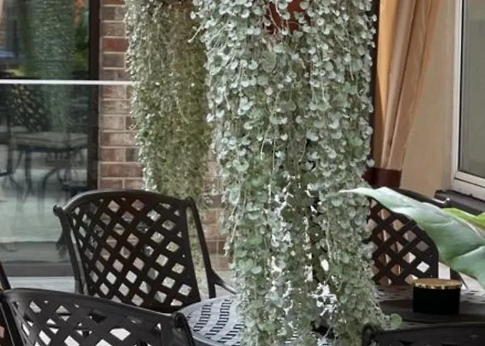 White Old Town Apartman